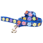 Paw Leash