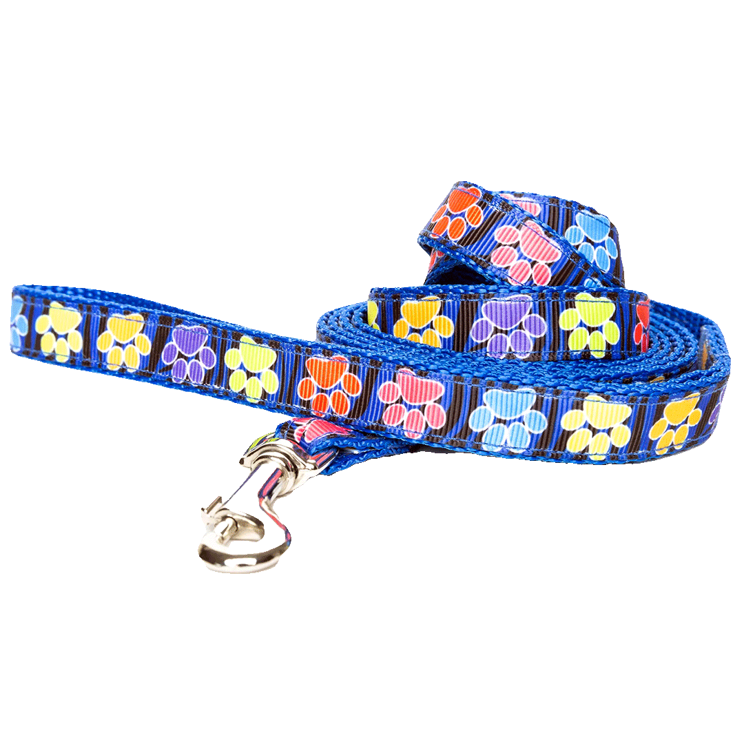 Paw Leash